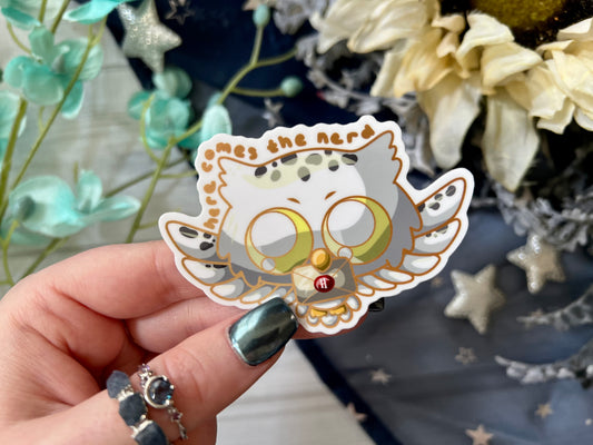 Delivery Owl - Vinyl Sticker (FREEEEE Shipping!)