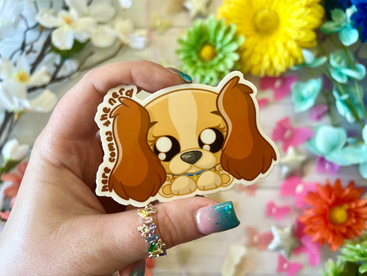 Pidge - Vinyl Sticker (FREEEEE Shipping!)